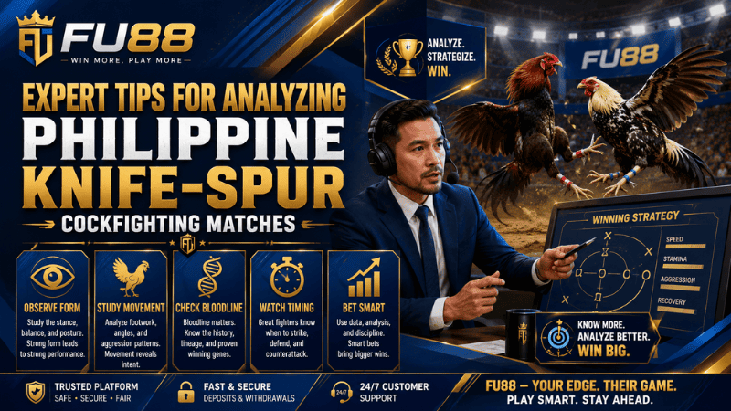 Expert Tips for Analyzing Philippine Knife-Spur Cockfighting Matches